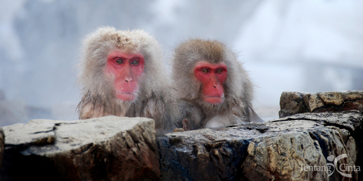 2756237781_5ae64dd91b_a